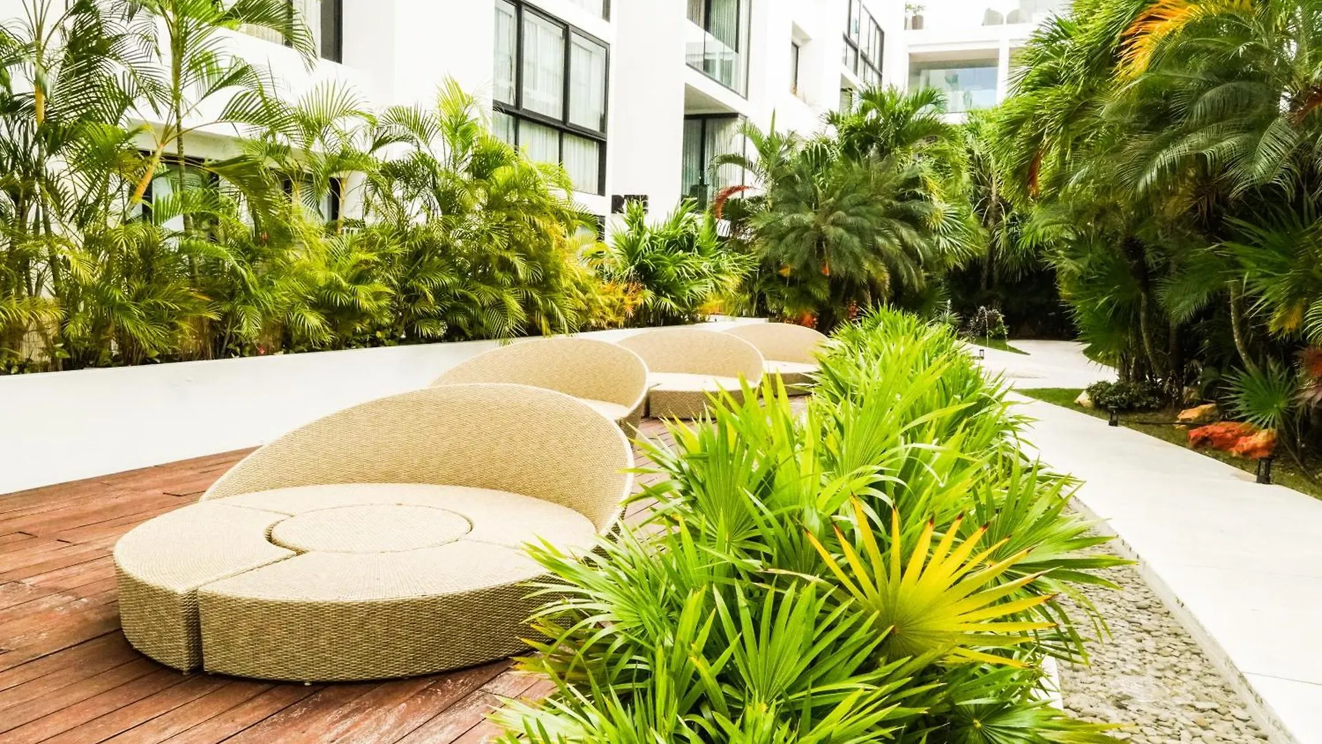 Апартаменты Penthouse Zona Centro Quinta Av 2Bd,2 Bt Плая-дель-Кармен
