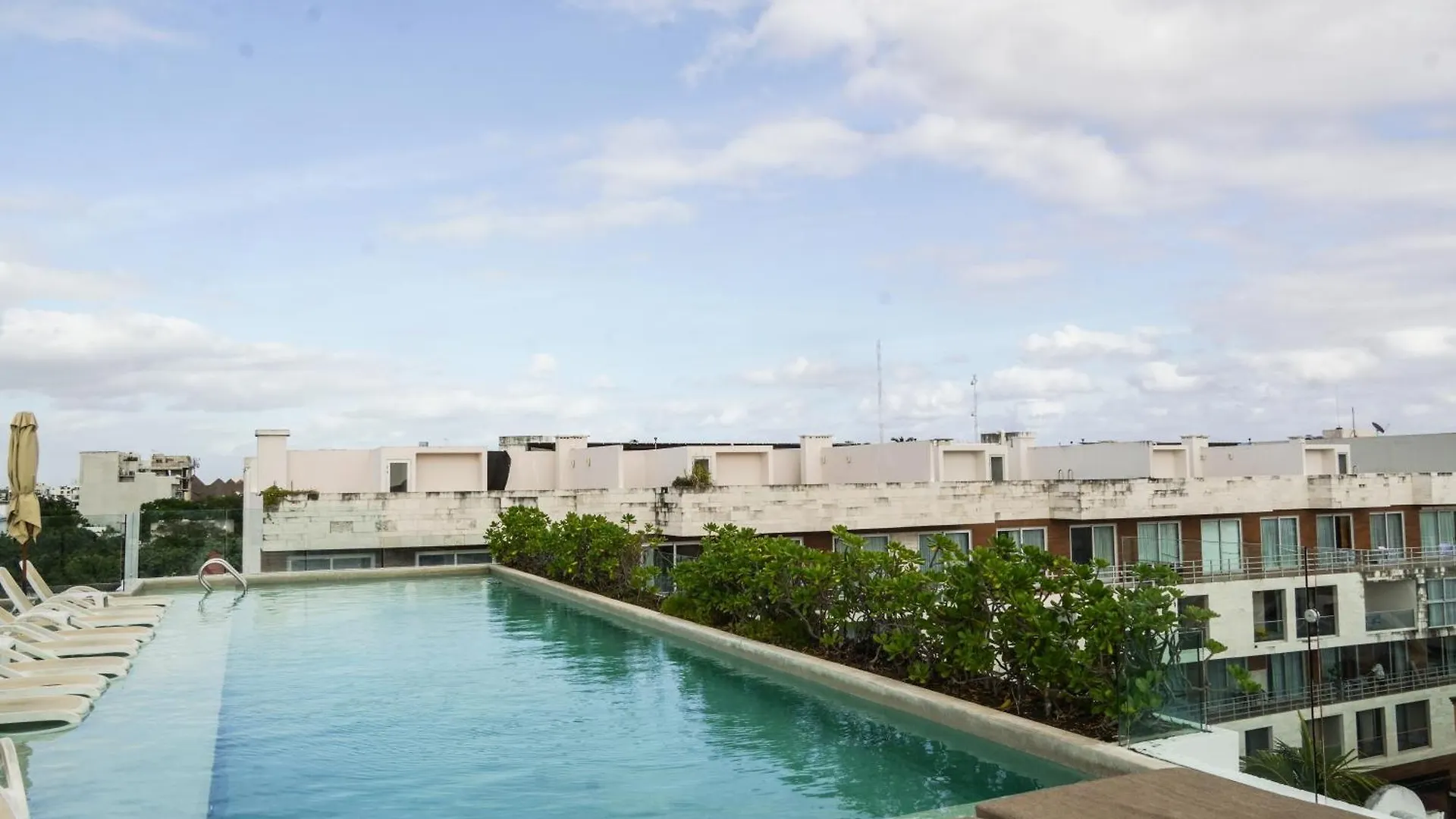 Contatos de Penthouse Zona Centro Quinta Av 2Bd,2 Bt